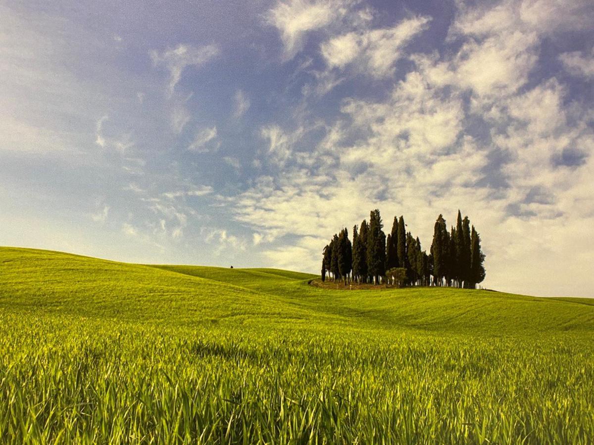 Villa La Catena Ulignano エクステリア 写真